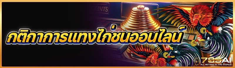กติกาการแทงไก่ชนออนไลน์ 